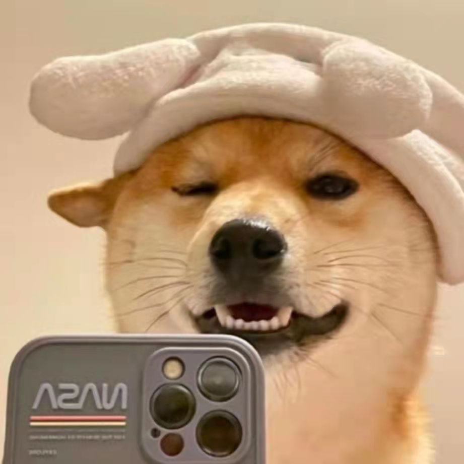 Featured image of post 测试文章